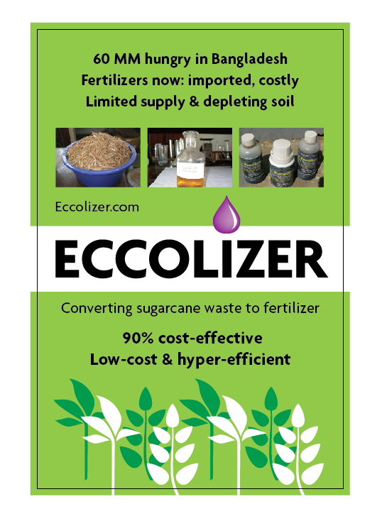Eccolizer poster